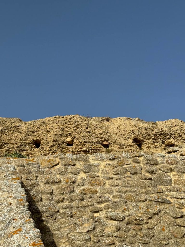 Muro de tapial - rammed earth wall -Stampflehmmauertechnik