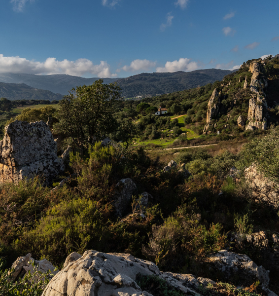 Parque natural de los Alcornocales - Alcornocales Natural Park -Naturpark Alcornocales